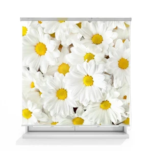 Рулонные шторы Ромашка В338