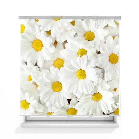 Рулонные шторы Ромашка В338